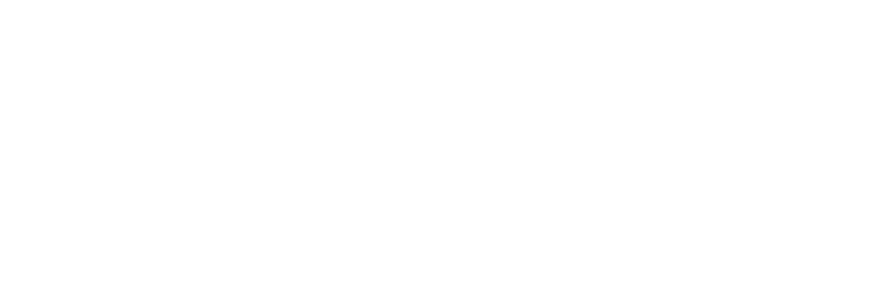 Thenperson do Vale — logo oficial